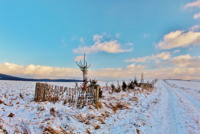 Bartošovice v O.h. - cesta po hřebenu Polomu