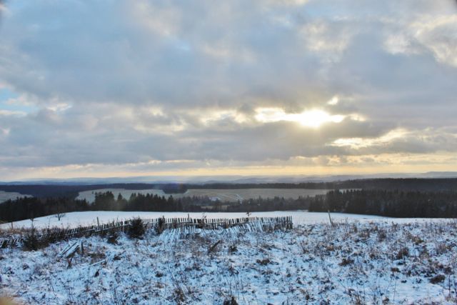 Bartošovice v O.h. - pohled z vrcholu Polomu k Přednímu kopci(678 m.n.m.)