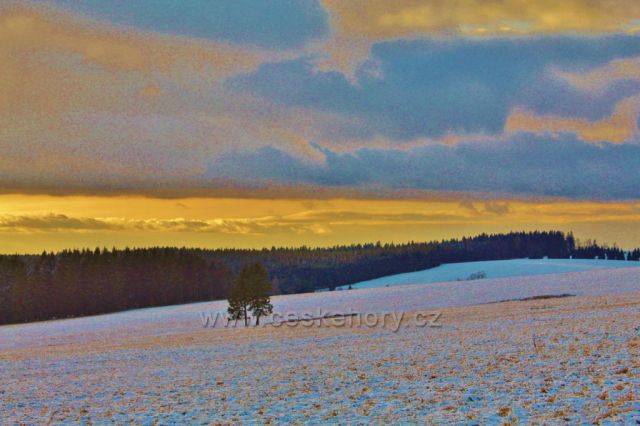 Bartošovice v O.h. - zasněžené pastviny nad Údolíčkem