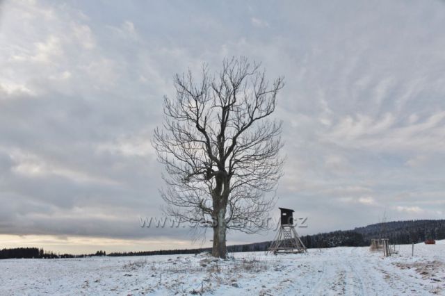 Bartošovice v O.h. - rozcestí v sedýlku pod Polomem