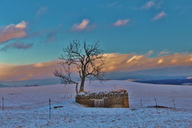 Bartošovice v O.h. bunkr Ia/14a/A nad Údolíčkem