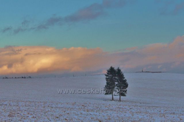 Bartošovice v O.h. -pohled k vrcholu Polomu