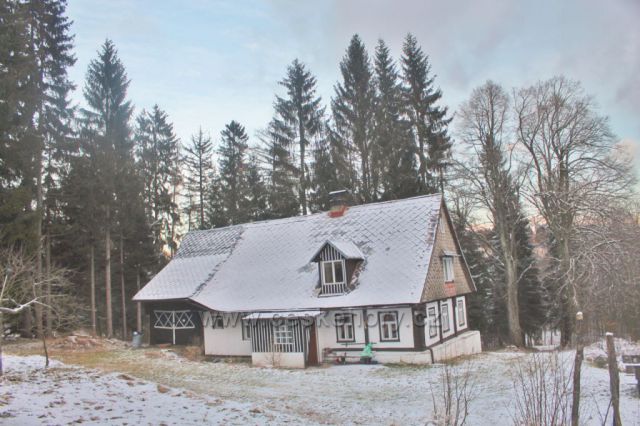 Panské Pole - chalupa u lesní cesty z Údolíčka na Panské Pole