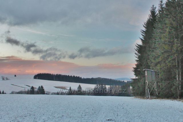 Panské Pole - posed v lesní stěně nad Údolíčkem