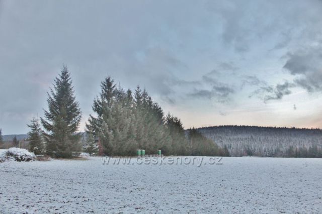 Panské Pole . pod pěchotním srubem "Na Holém"