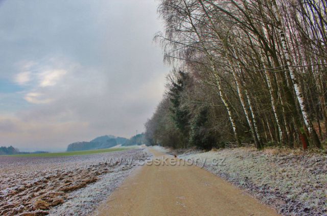 Písečná - polní silnička k telekomunikační věži na úbočí vrchu Hůra