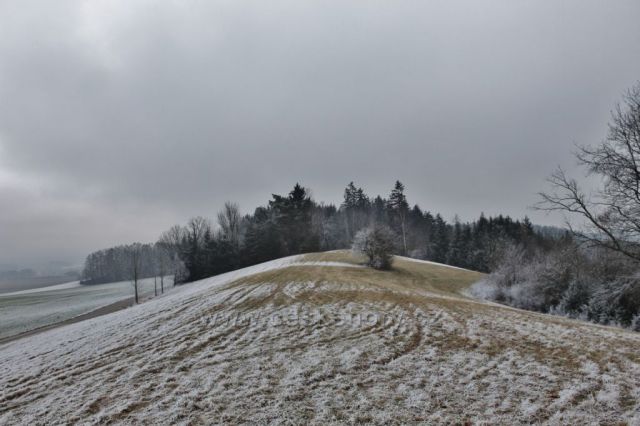 Písečná - hřeben vrchu Hůry (421 m.n.m.)