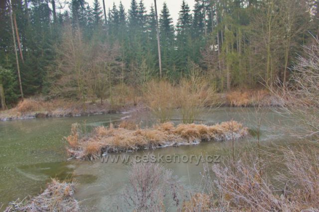 Lukavice - horní část Záhořského rybníku