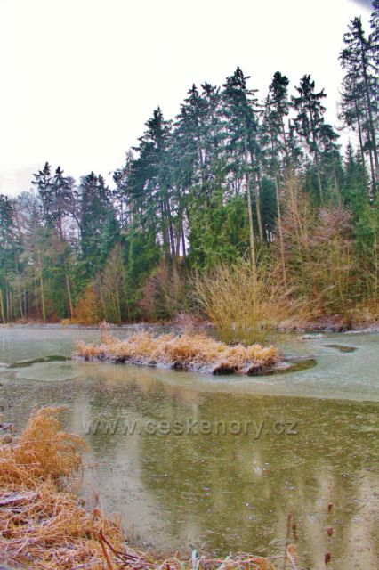 Lukavice - horní část Záhořského rybníku