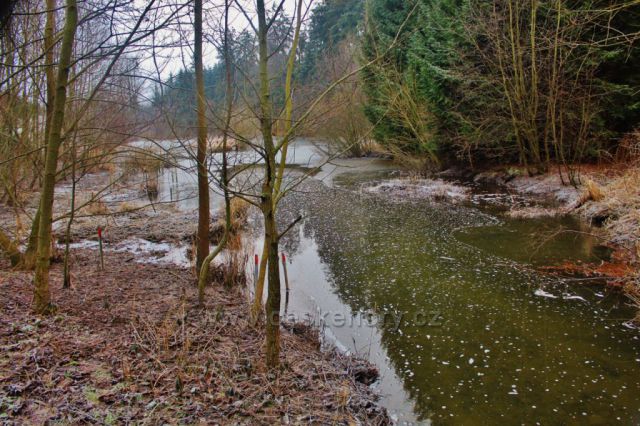 Lukavice -Dlouhoňovický potok napájí Záhořský rybník