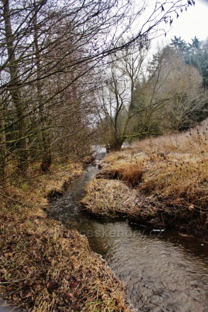 Lukavice - Dlouhoňovický potok před vtokem do Záhořského rybníku