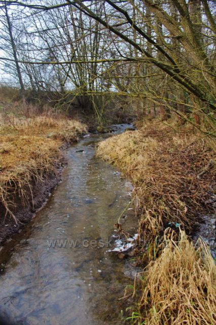 Lukavice - Dlouhoňovický potok v Záhořském údolí