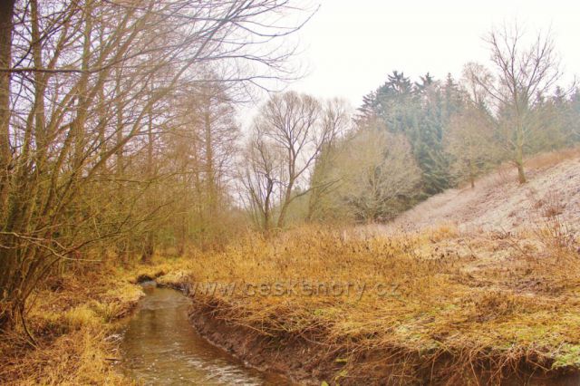 Lukavice - Dlouhoňovický potok v Záhořském údolí