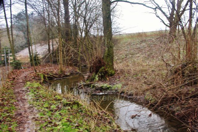 Lukavice - pěšina podél Dlouhoňovického potoku v Záhořském údolí