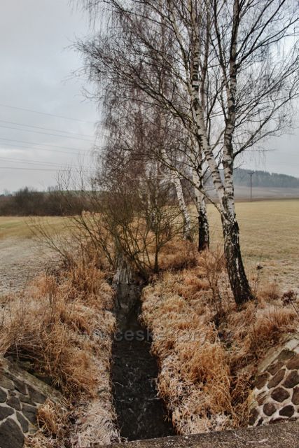 Lukavice - Dlouhoňovický potok na okraji Záhoří