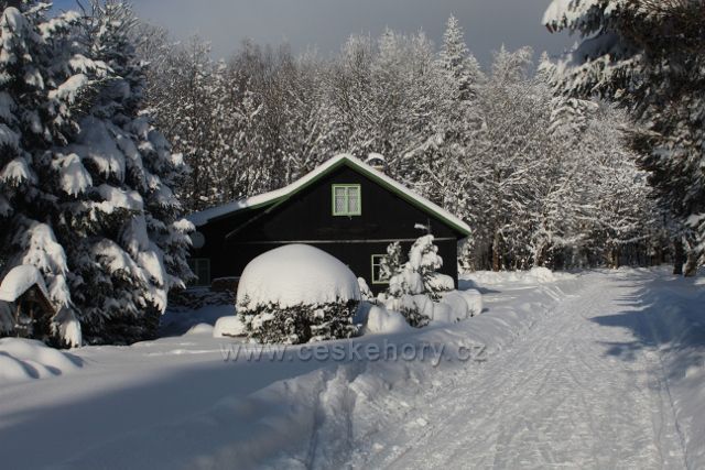 Panské Pole - cesta k Panské hájovně "Hanička"