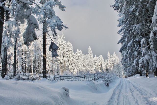 Panské Pole - cesta po modré TZ k Hadinci