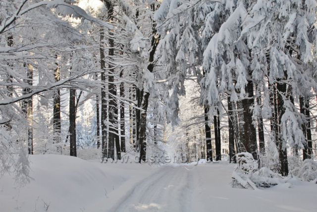 Panské Pole - cesta k Hadinci po modré TZ