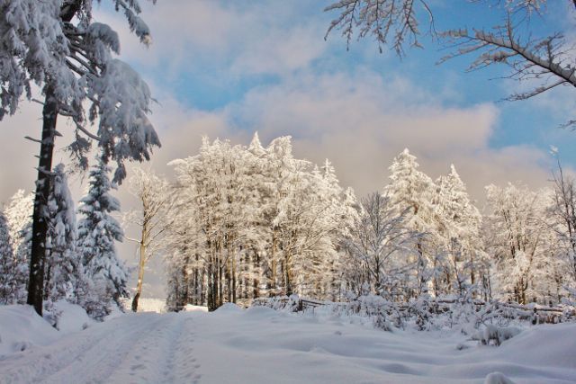 Panské Pole - rozcestí na trase k Hadinci