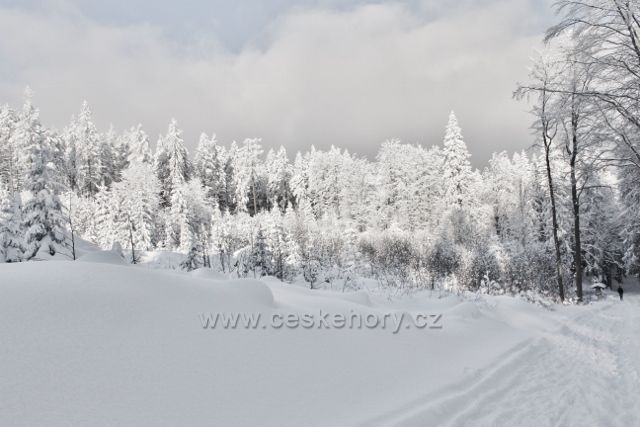 Panské Pole - cesta k Hadinci po modré TZ