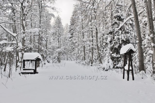Bartošovice v O.h. -neprošlapaná cesta z rozcestí pod Hadincem ke kapli sv. Anny