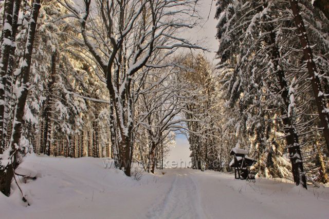 Bartošovice v O.h. - cesta po modré TZ na Vysoký Kořen