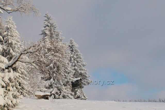 Bartošovice v O.h. - posed na Vysokém Kořenu
