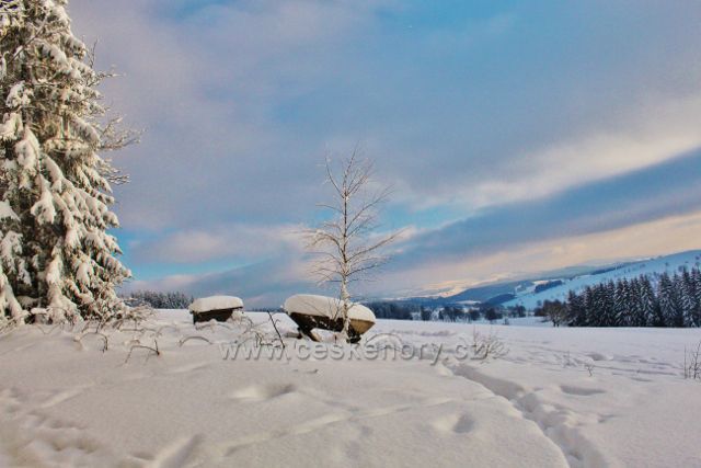 Bartošovice v O.h. - krmeliště před posedem na Vysokém Kořenu