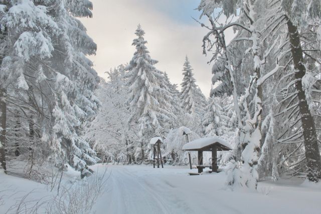 Bartošovice v O.h. - cesta po modré TZ z Vysokého Kořenu do Neratova. Vyhlídkové místo a přístřešek Vysoký Kořen