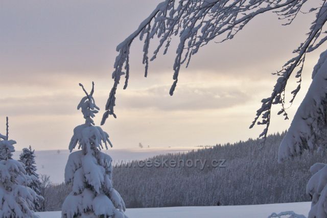 Bartošovice v O.h.- pohled z okraje lesa na Vysokém Kořenu k Polomu