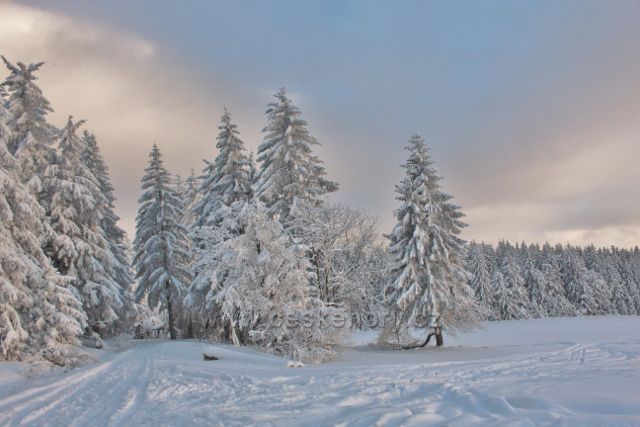 Bartošovice v O.h. -Vysoký Kořen.Cesta po modré TZ do Neratova