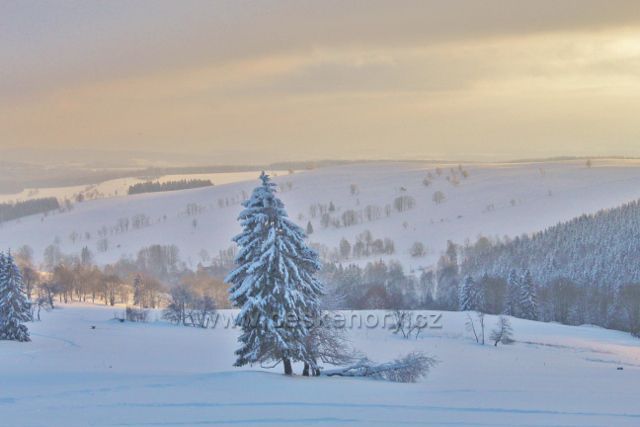 Bartošovice v bO.h. - zasněžené pastviny na úbočí Polomu