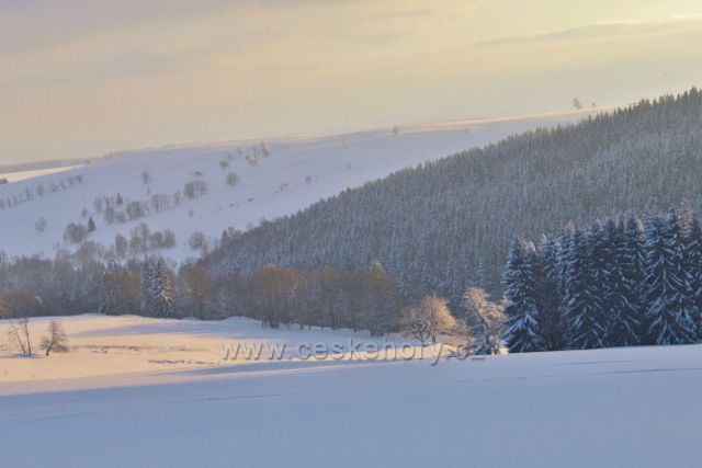Bartošovice v O.h. - Vysoký Kořen , pohled k hřebenu vrchu Polom