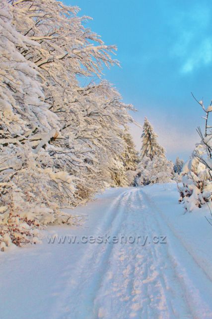 Bartošovice v O.h. - Vysoký Kořen, cesta z Hadince do Neratova