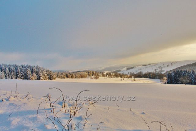Bartošovice v O.h. - zasněžené pastviny nad Vrchní Orlicí