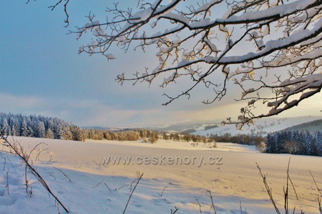 Bartošovice v O.h. - zasněžené pastviny nad Vrchní Orlicí