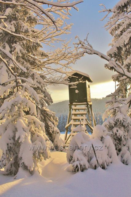 Bartošovice v O.h. - Vysoký Kořen, posed na okraji lesa