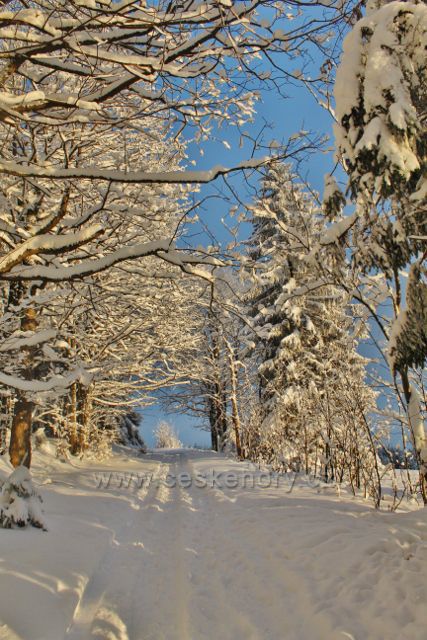 Bartošovice v O.h. - Vysoký Kořen, cesta z Hadince do Neratova