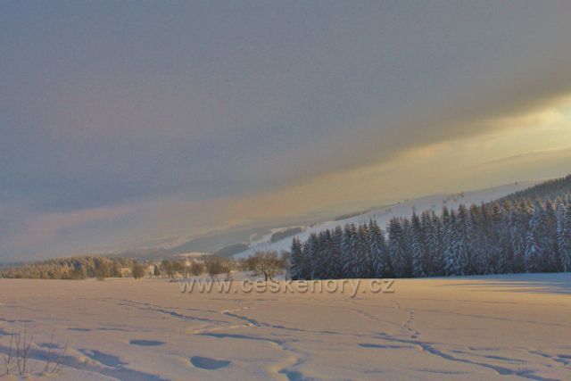 Bartošovice v O.h. - pastviny nad Vrchní Orlicí