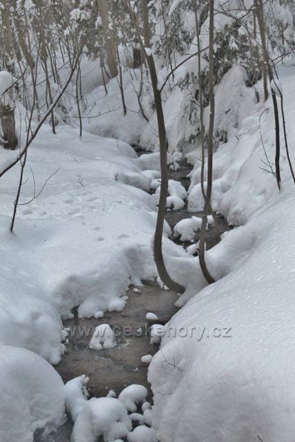 Bartošovice v O.h. - horský potok Hadinec pod stejnojmennou osadou