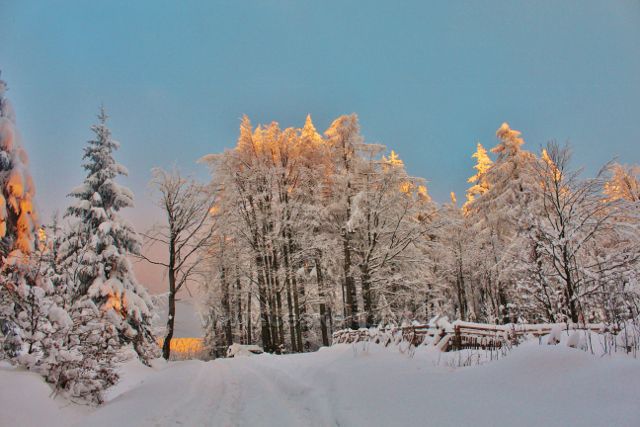 Panské Pole - cesta po modré TZ přes Vysoký Kořen do Neratova