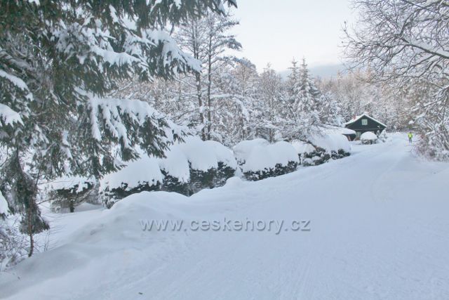 Panské Pole - cesta k Panské hájovně
