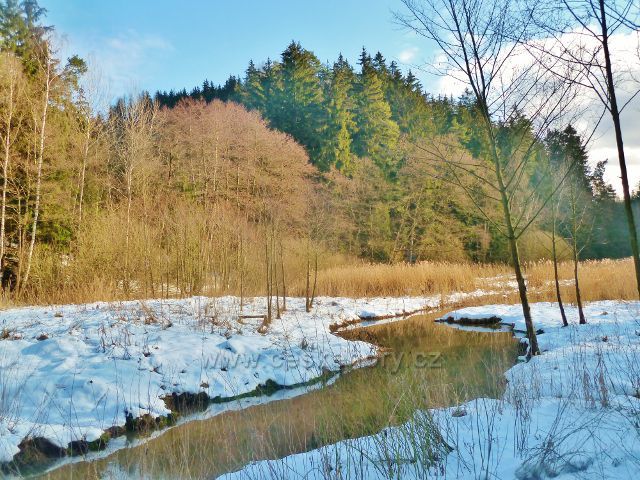 Písečná - přítok Potočnice do rybníku v Šušku