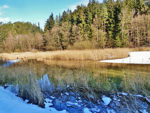 Písečná - horní část rybníku v Šušku