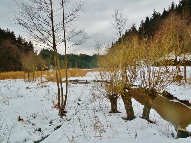 Písečná - přítok Potočnice do rybníku v Šušku