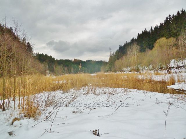 Písečná - horní část rybníku v Šošku