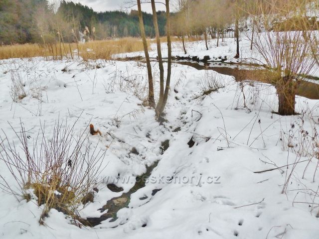 Písečná - pohled na místo činnosti "vodního" dřevorubce u rybníku v Šušku