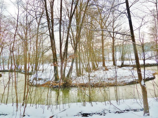 Červená -meandry Tiché Orlice před Valdštejnem