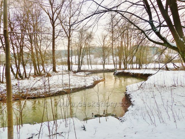 Červená - meandry Tiché Orlice pod Valdštejnem