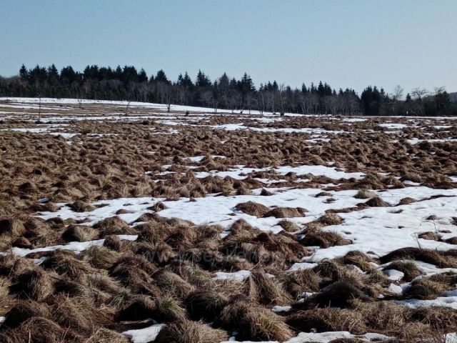 Typické Krušné hory